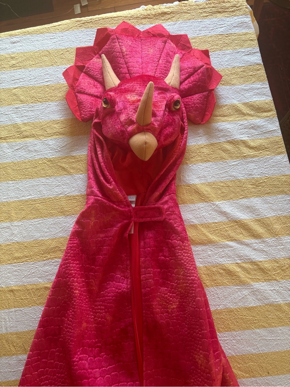 Great Pretenders Triceratops Hooded Costume